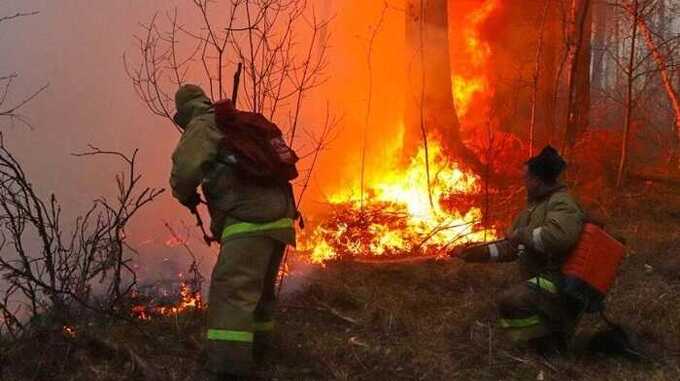 В Свердловской области произошло четыре лесных пожара